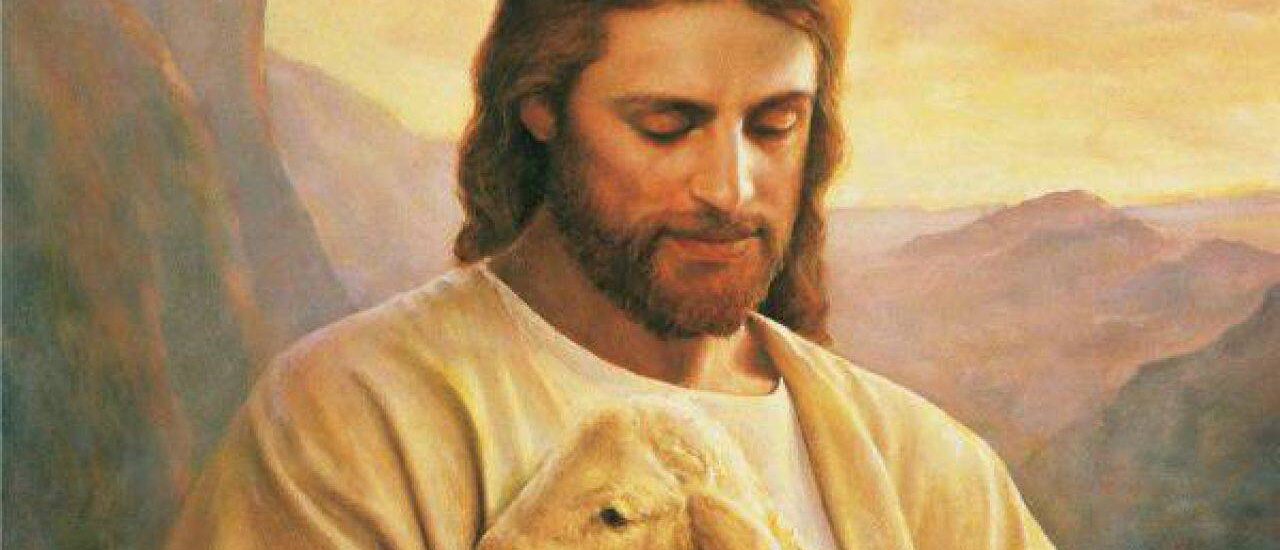 Il buon pastore dà la vita per le pecore.  + Dal Vangelo secondo Giovanni 10,11-18